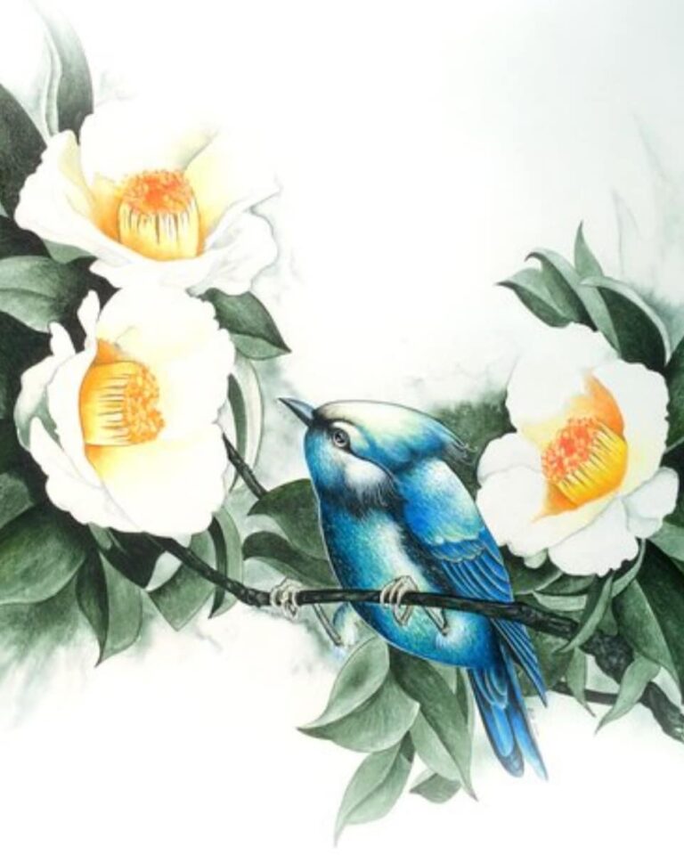 dessin oiseau bleu