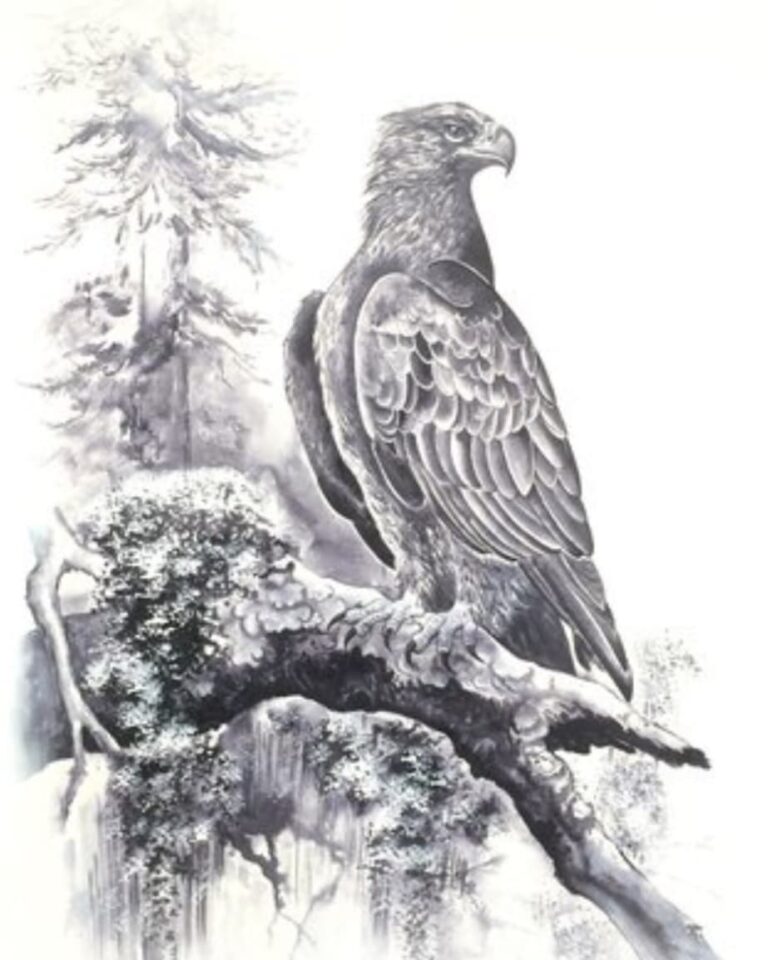 peinture Aigle