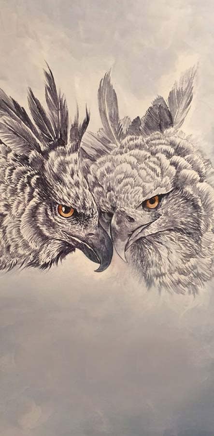 dessin aigle doree