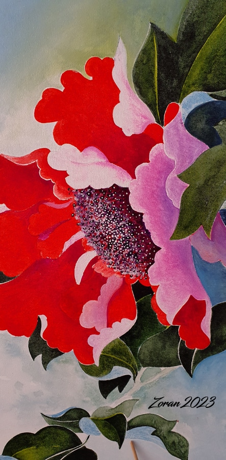 dessin pivoine