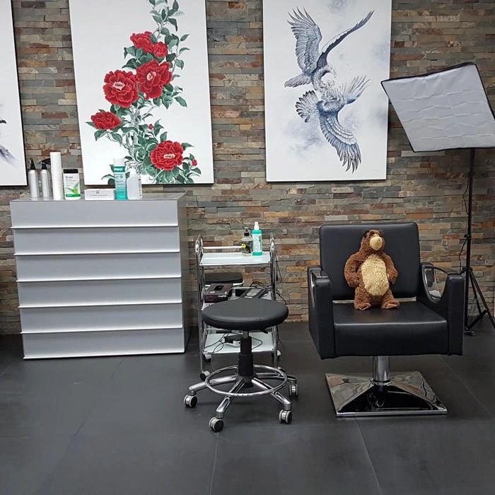 Studio de tatouage